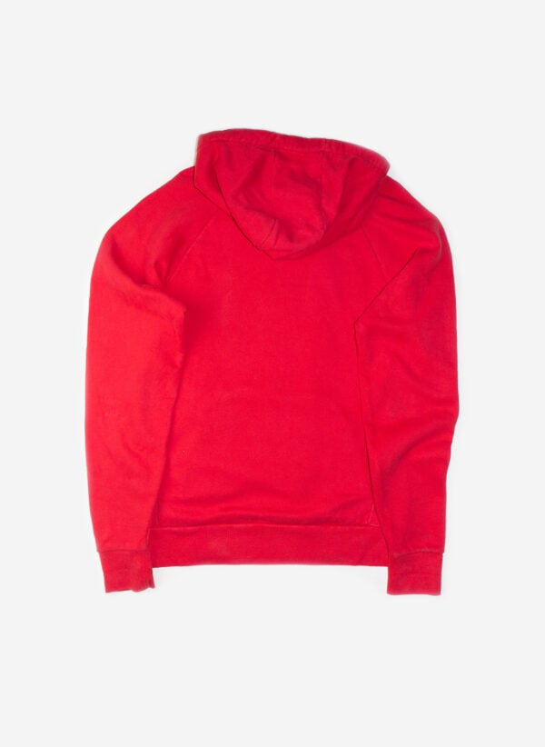 THE NORTH FACE HOODIE